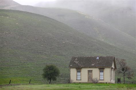 7 spooky Bay Area adventures, from a haunted forest to a tarantula fest